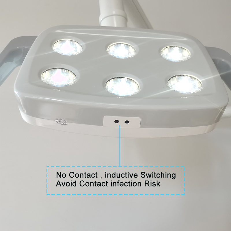6LED Dental LED Lamp Oral Ligh – Whitening Teeth Dentist Bewertung und Preis